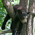 Just Hangin Out